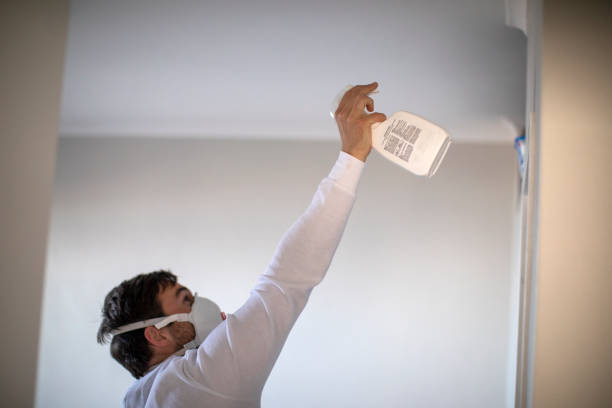 Best Mold Cleaning Services  in Rock Springs, NM