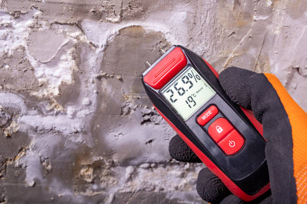 Best Mold Remediation  in Rock Springs, NM