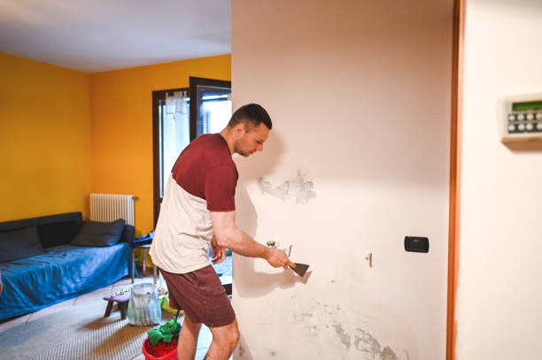 Best Commercial Mold Removal  in Rock Springs, NM